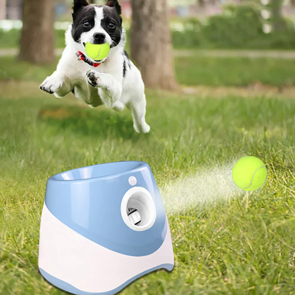 Funzie | Automatisk boldkaster til hunde
