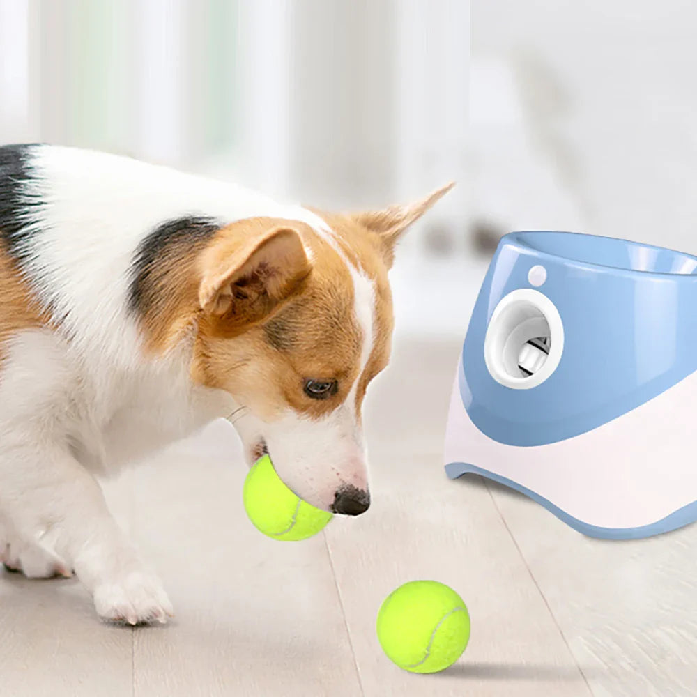 Funzie | Automatisk boldkaster til hunde