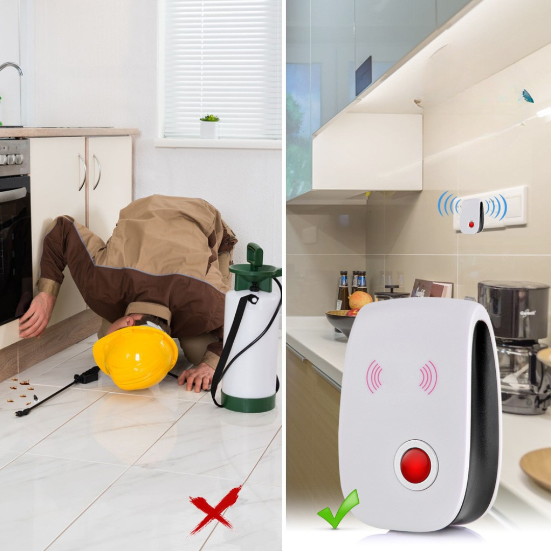 Skadedyrsvagt | Beskytter dit hjem mod skadedyr