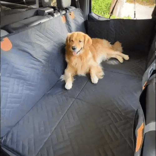 PetCruiser | Beskyt dit bagsæde, og hold din hund i sikkerhed