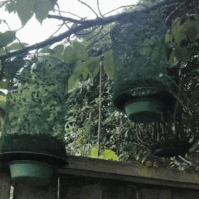 SummeStopper | Giftfri løsning mod myg, fluer og hvepse