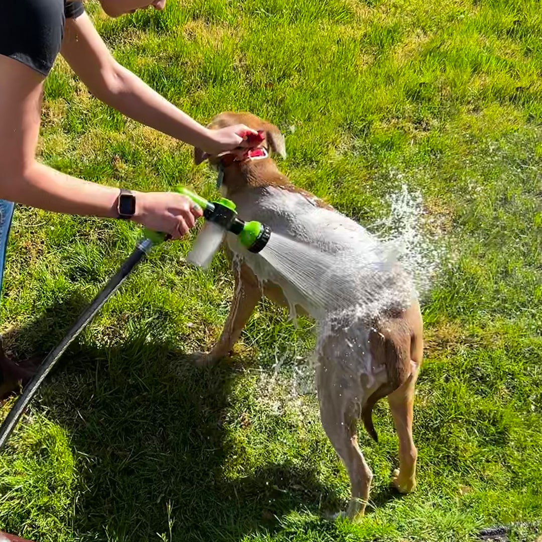 PupJet | Stressfri og nem vask og pleje