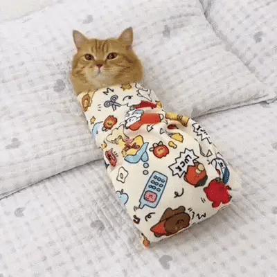 KatIndpakning | Klipning af negle uden stress? Denne indpakning gør det muligt!