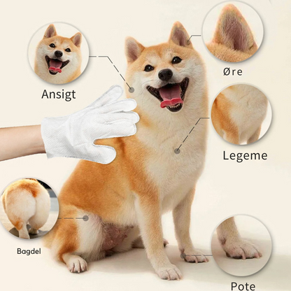 FreshPaw | Bruseren, som din kat elsker