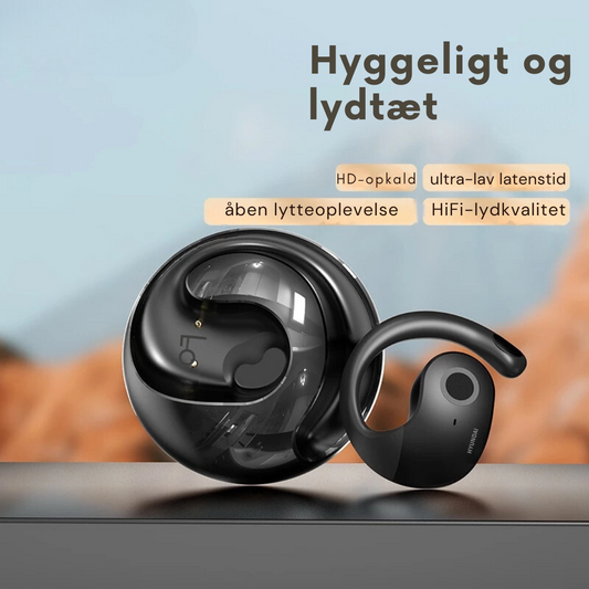 LinguaPro | Pro Trådløse Bluetooth Oversættelses Øretelefoner