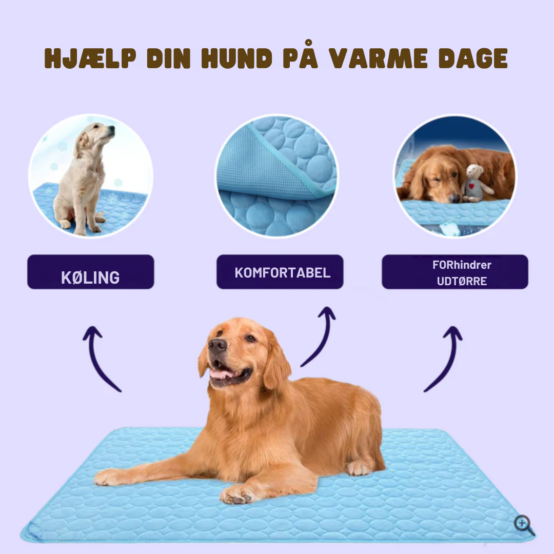 CoolPaws | Kølemåtte til Hunde