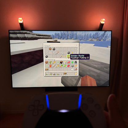 PixelTorch | Fra skærmen til virkeligheden