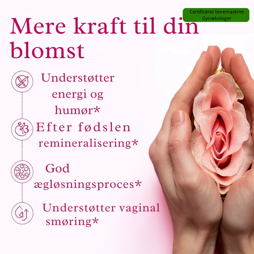 VitalPeak | Himalaya Energi Honningstænger