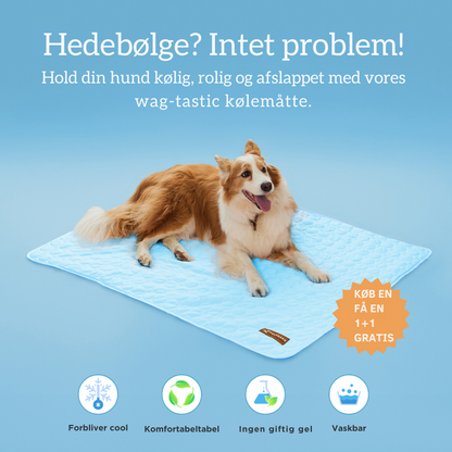 CoolPaws | Kølemåtte til Hunde