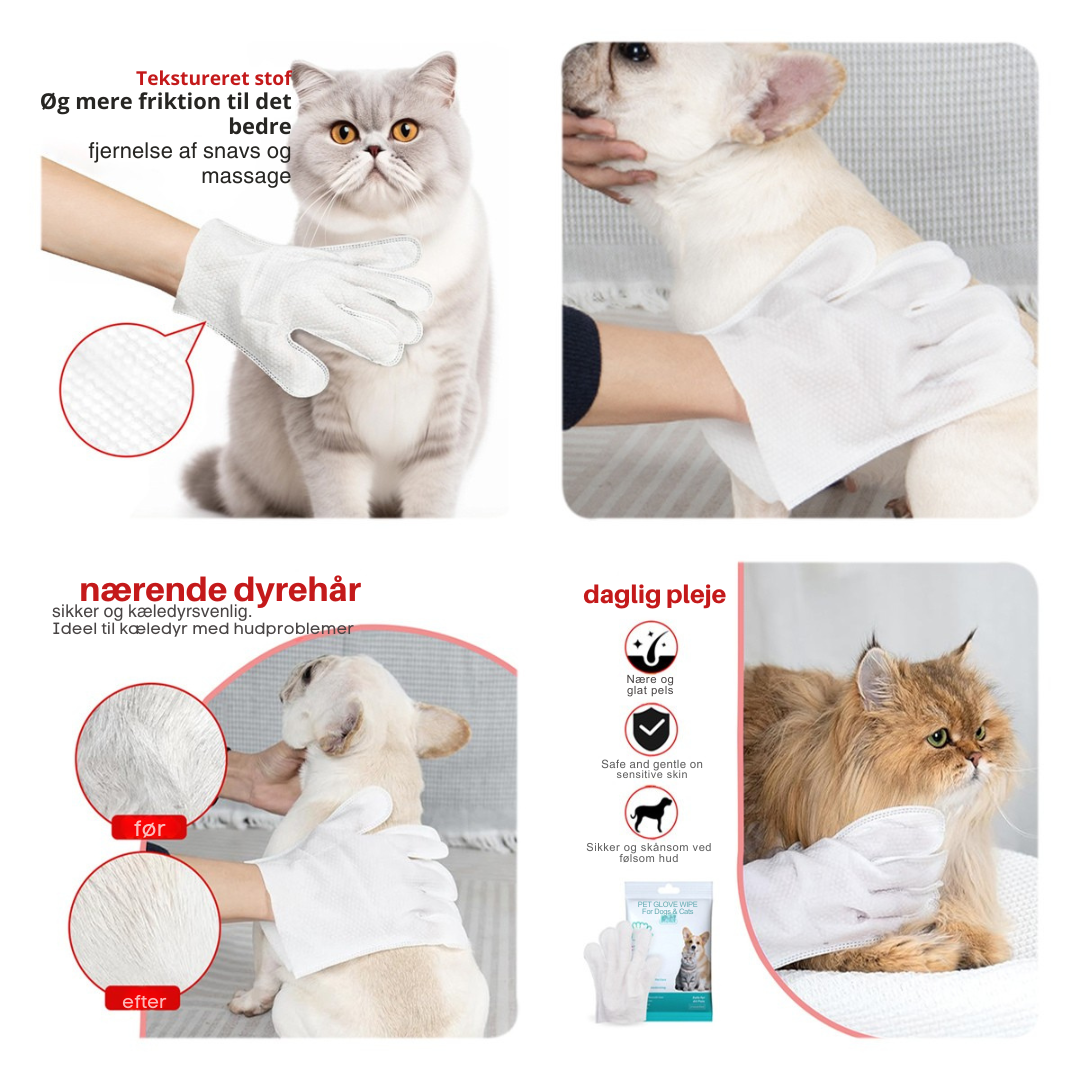 FreshPaw | Bruseren, som din kat elsker