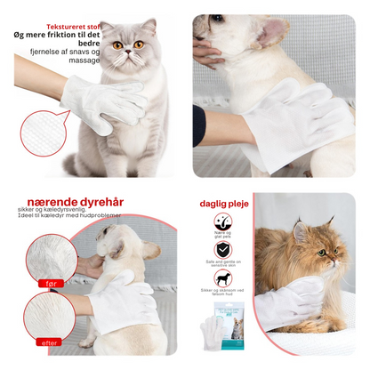 FreshPaw | Bruseren, som din kat elsker