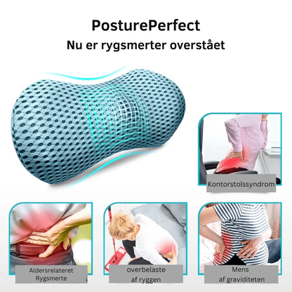 PosturePerfect | Ergonomisk lændepude