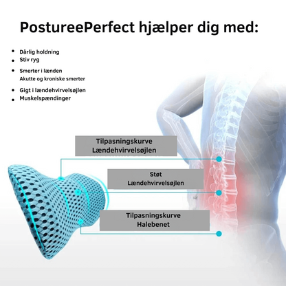 PosturePerfect | Ergonomisk lændepude