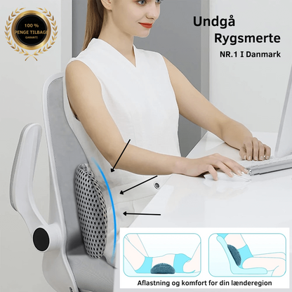 PosturePerfect | Ergonomisk lændepude