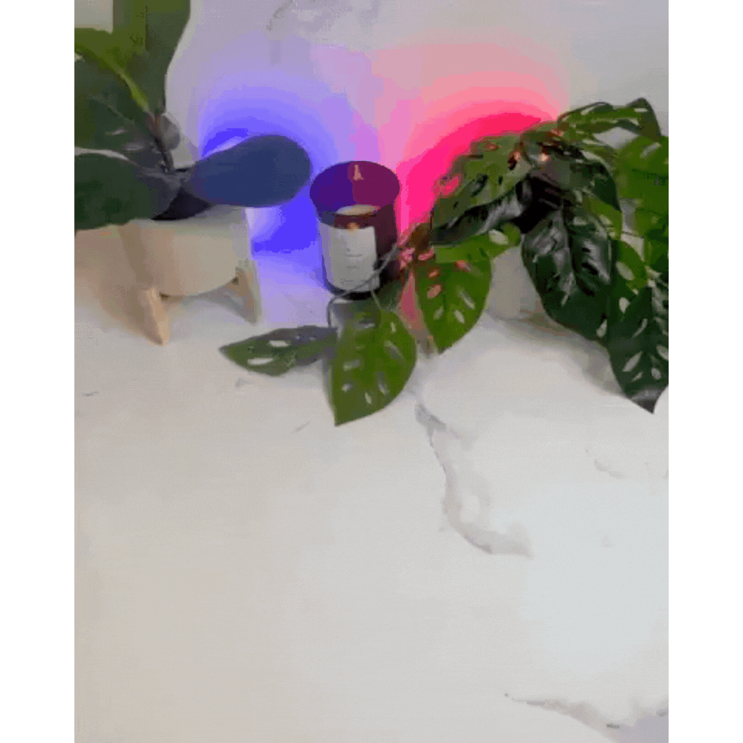 PureAir | Bærbar udsugningsventilator