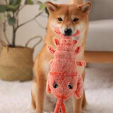 BounceVen | Hold din kæledyr hoppende af glæde!