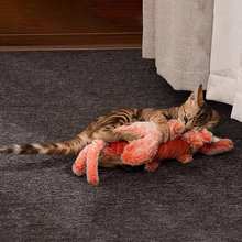 BounceVen | Hold din kæledyr hoppende af glæde!