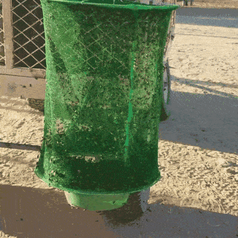 SummeStopper | Giftfri løsning mod myg, fluer og hvepse